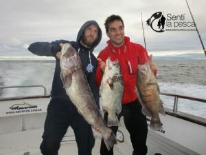 170515 EMBARCADOS EN MDQ5