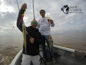 170515 EMBARCADOS EN VILLA PANARACITO4