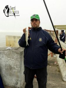 170515 JORNADA DE COSTA EN HUDSON