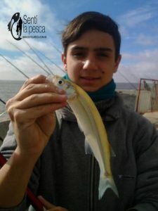 170515 JORNADA DE COSTA EN HUDSON4