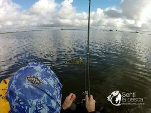 170515 KAYAKFISHING EN ALTOS VERDES4
