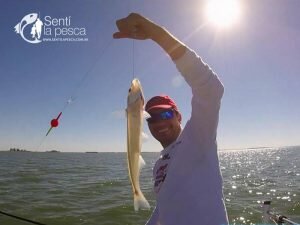 170515 PEJES A FLOTE EN HINOJO10