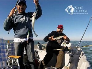 170515 PEJES A FLOTE EN HINOJO3