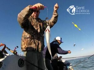 170515 PEJES A FLOTE EN HINOJO4