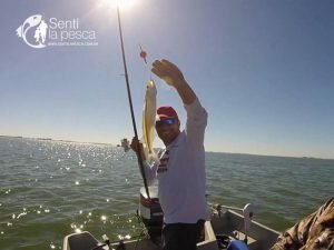 170515 PEJES A FLOTE EN HINOJO9