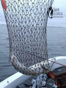 170516 EMBARCADOS EN LAGUNA DE GOMEZ3