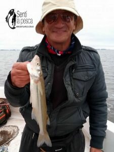 170516 EMBARCADOS EN LAGUNA DE GOMEZ4