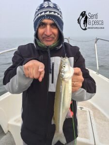 170516 JORNADA EN CHIS CHIS