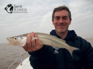 170517 LOS GRANDES PEJES DE BERISSO