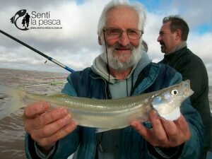 170517 LOS GRANDES PEJES DE BERISSO12