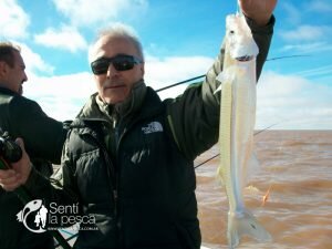 170517 LOS GRANDES PEJES DE BERISSO14