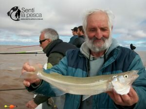 170517 LOS GRANDES PEJES DE BERISSO18