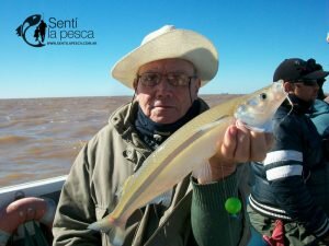 170517 LOS GRANDES PEJES DE BERISSO19