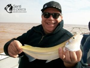 170517 LOS GRANDES PEJES DE BERISSO2