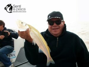 170517 LOS GRANDES PEJES DE BERISSO5