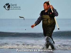 170517 PEJERREYES EN EL MOLINO