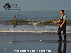 170517 PEJERREYES EN EL MOLINO2