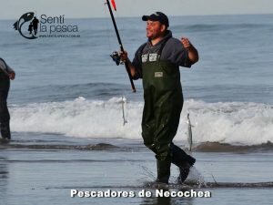 170517 PEJERREYES EN EL MOLINO5