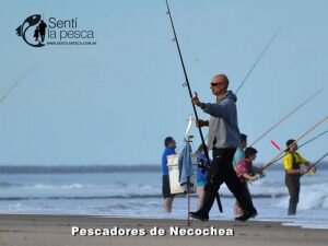170517 PEJERREYES EN EL MOLINO8