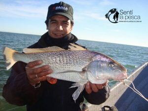 170518 EMABRCADOS EN ALBUFERA DE MARCHI9