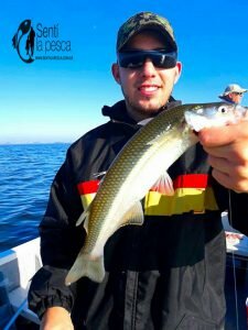 170518 PEJERREYES EN LA ELBA