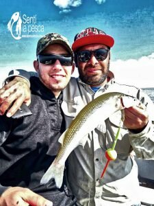170518 PEJERREYES EN LA ELBA4