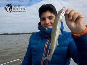 170518 PEJES DEL RIOPLA QUILMES3