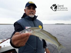 170519 PEJES EN LAS BARRANCAS1