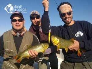 170522 LOCURA DORADA EN ROSARIO6