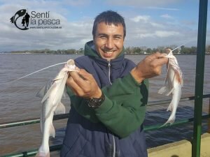 170522 PEJERREY CLUB DE QUILMES
