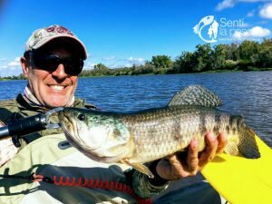 170522 TARUS DE OTOÑO EN ENTRE RIOS4