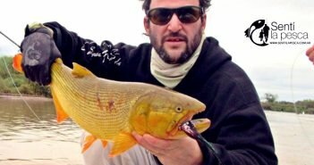 170524 DORADOS EN RIO DULCE dest