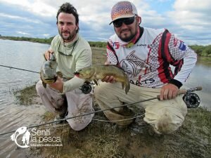 170524 DORADOS EN RIO DULCE13