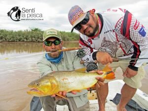 170524 DORADOS EN RIO DULCE18