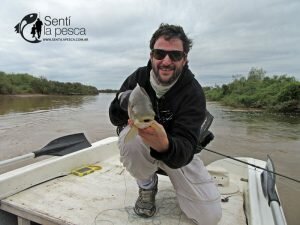 170524 DORADOS EN RIO DULCE4