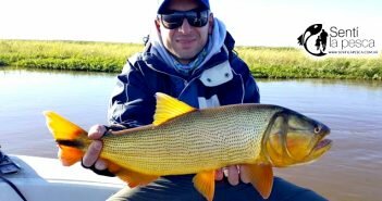170524 DORADOS EN SAN NICOLAS dest