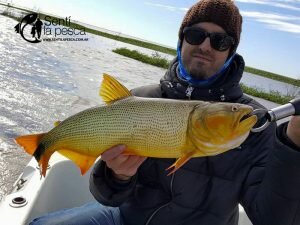 170524 DORADOS EN SAN NICOLAS2