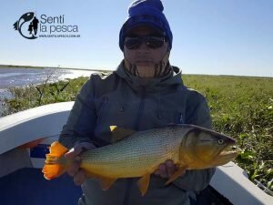 170524 DORADOS EN SAN NICOLAS3