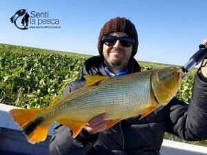 170524 DORADOS EN SAN NICOLAS4