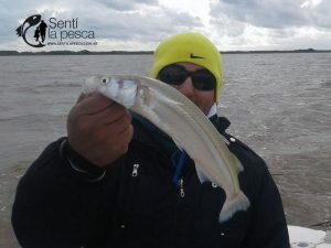 170529 PEJES EN EL RIOPLA HUDSON2