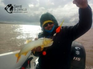 170529 PEJES EN EL RIOPLA HUDSON3