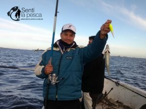170529 PEJES EN JUNIN (10)