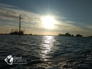 170529 PEJES EN JUNIN (5)