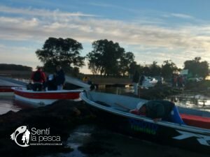 170529 PEJES EN JUNIN (6)