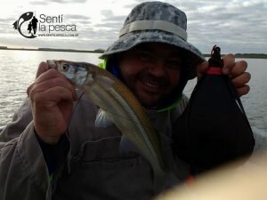 170529 PEJES EN LA GENOVESA2