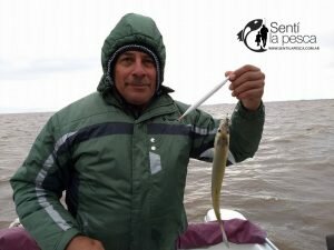 170529 PEJES EN RIO URUGUAY1