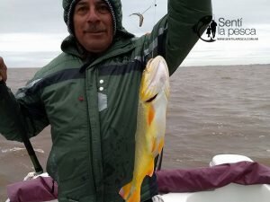 170529 PEJES EN RIO URUGUAY3