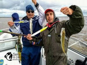 170529 PEJES EN RIO URUGUAY5