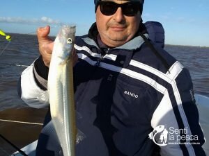 170529 PEJES EN RIO URUGUAY6