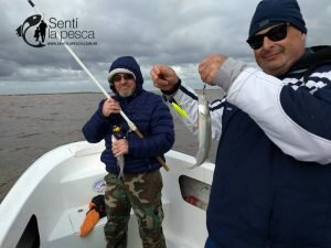 170529 PEJES EN RIO URUGUAY7
